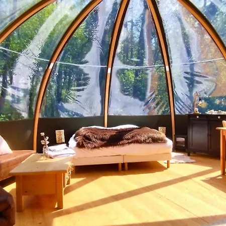 بيت خشبي Bulle Forestiere - Etat Nature