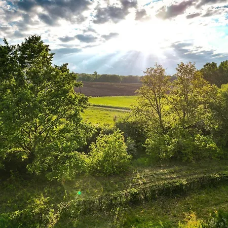 Gerendaház Bulle Forestiere - Etat Nature Magnieres