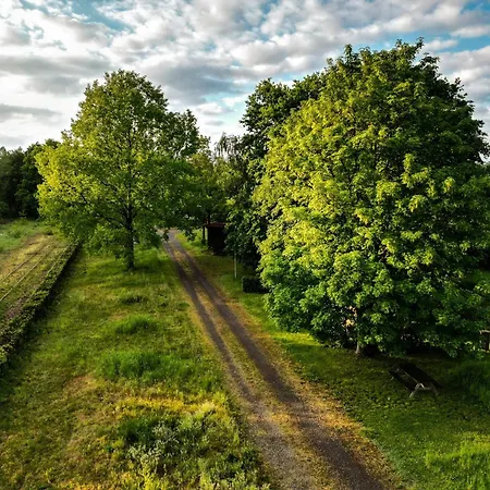 Bulle Forestiere - Etat Nature Magnieres
