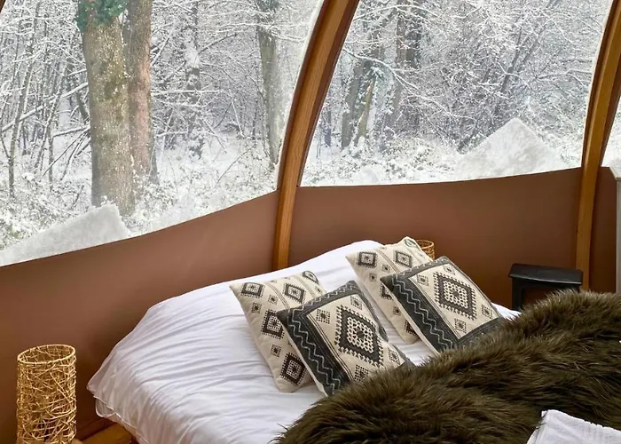 Bulle Forestiere - Etat Nature *